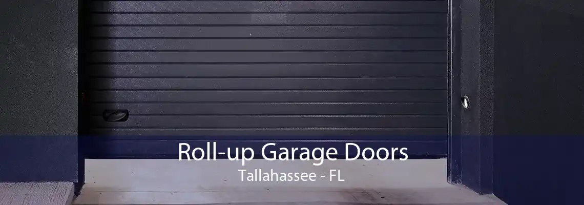 Roll-up Garage Doors Tallahassee - FL
