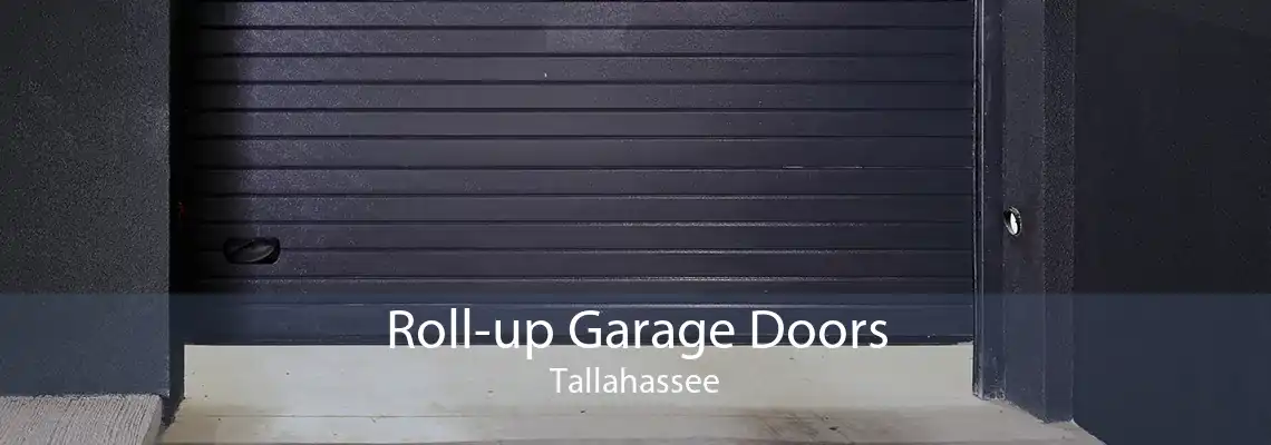 Roll-up Garage Doors Tallahassee