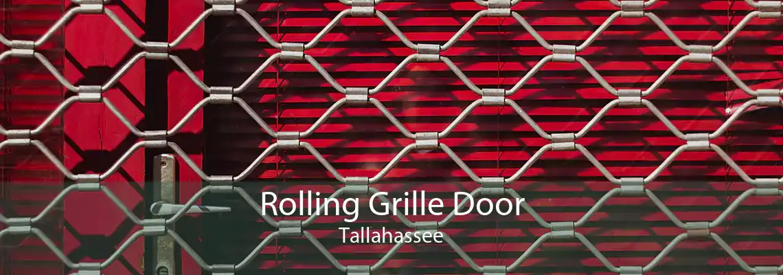 Rolling Grille Door Tallahassee