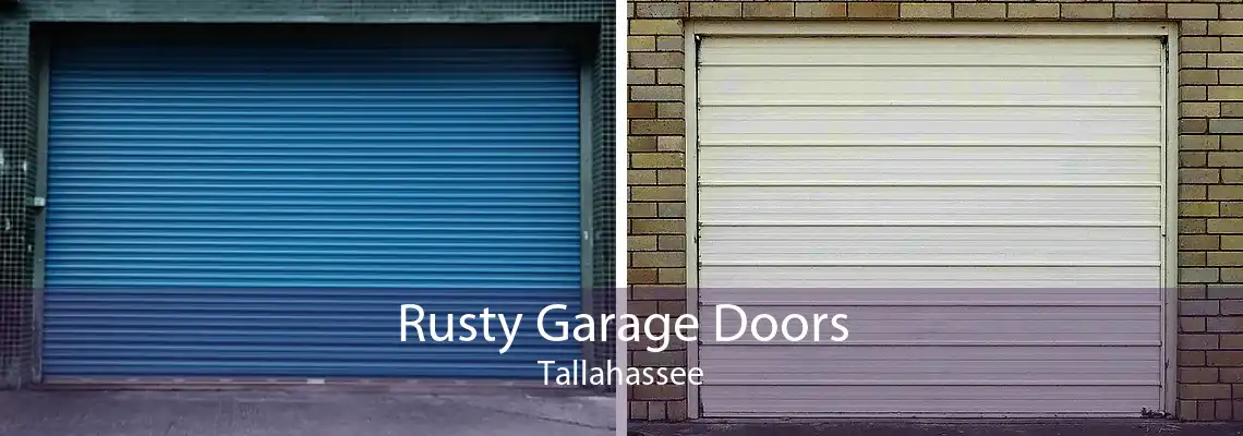 Rusty Garage Doors Tallahassee